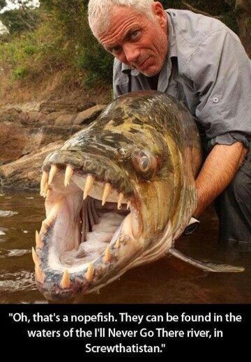 Goliath Tigerfish?